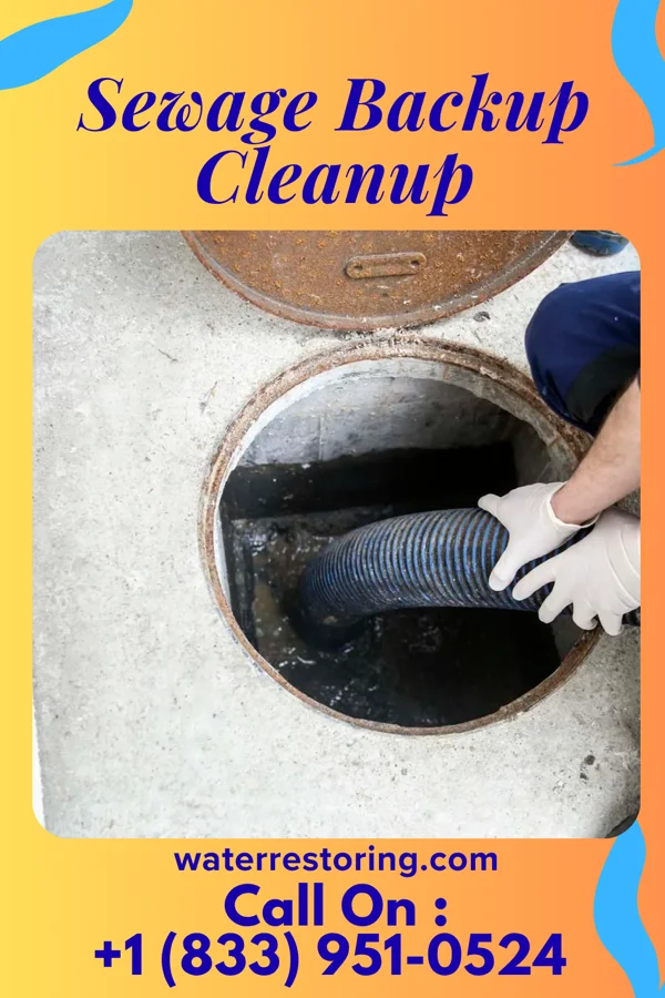 Sewage Backup Cleanup in Plainview, IA